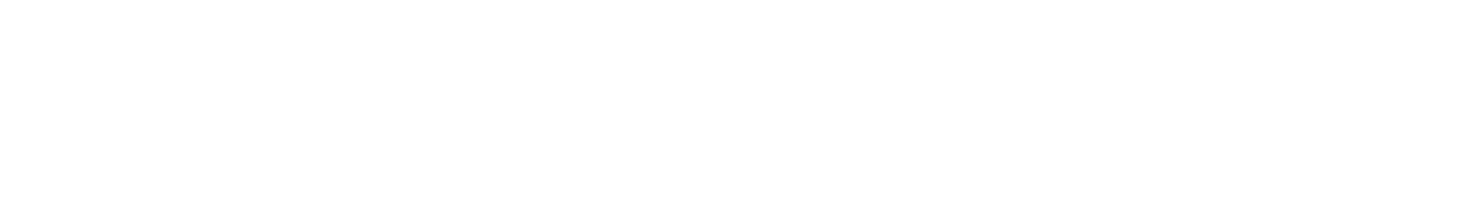 BridgerPay